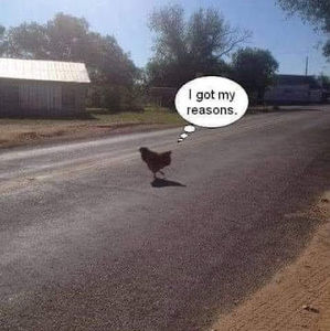 Meet your Posher, Isabella